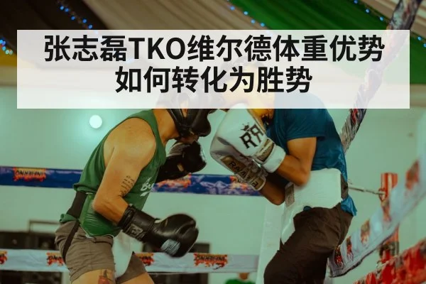 张志磊TKO维尔德体重优势如何转化为胜势