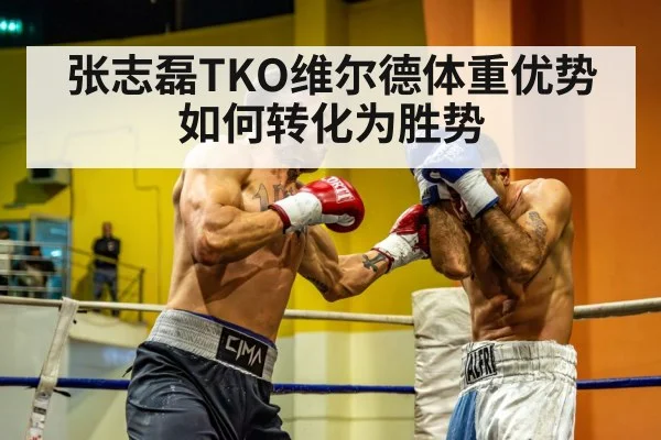 heavyweight boxing match