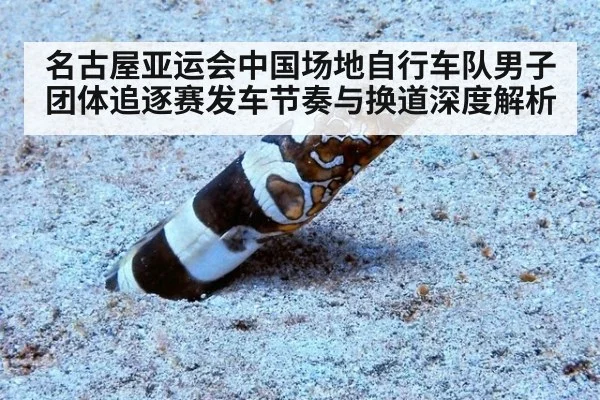名古屋亚运会中国场地自行车队男子团体追逐赛发车节奏与换道深度解析